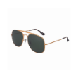 MOSS17009 C1